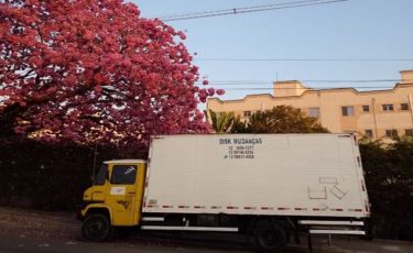 Pedro Morais - Disk Mudanças e Transportes em Geral